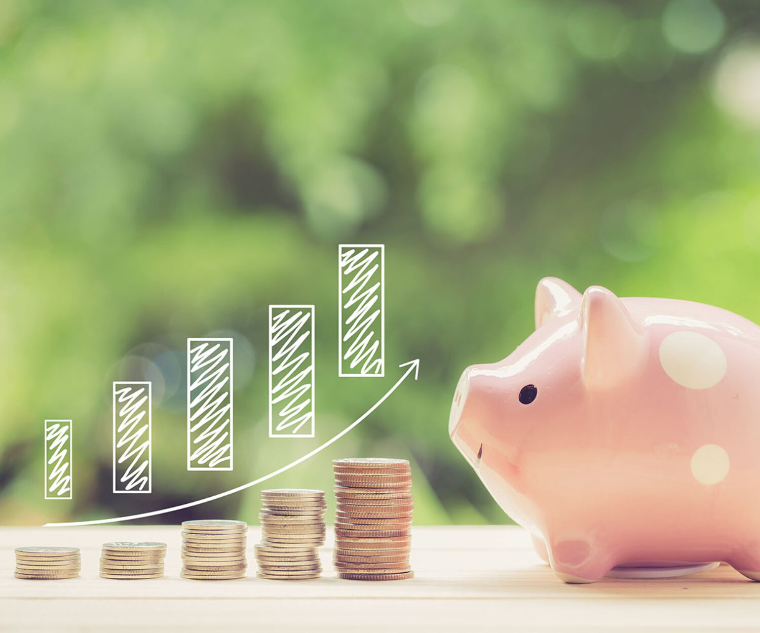 Money coins stack growing graph and piggy bank nature background, business concept.